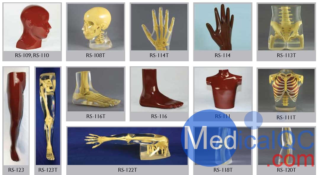 美國RSD人體部分模體，RSD RS-114T手臂模體,RSD RS-123T腿部模體