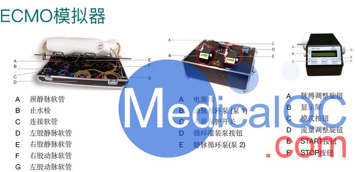 TF200 ECMO模擬器,TF200體外膜肺氧合ECMO專業(yè)訓練模體,TF200 ECMO模體