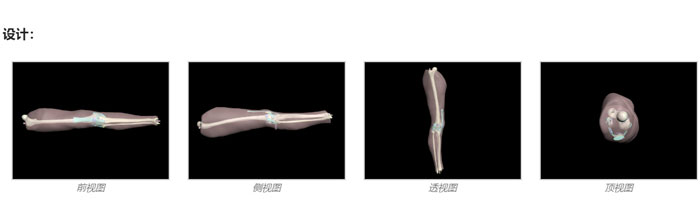KE-A02成人膝關(guān)節(jié)模體，KE-A02腿部模型，KE-A02腿模體設(shè)計(jì)示圖