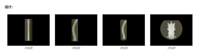 SE-A02成人脊柱模型，SE-A02脊柱模體,SE-A02脊椎模體設(shè)計(jì)示圖