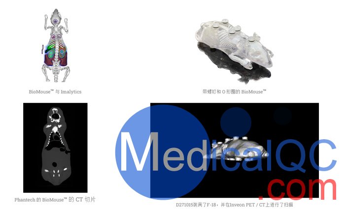 BioMouse模體,BioMouse小鼠模型，Phantech Bio-Mouse多功能小鼠模體