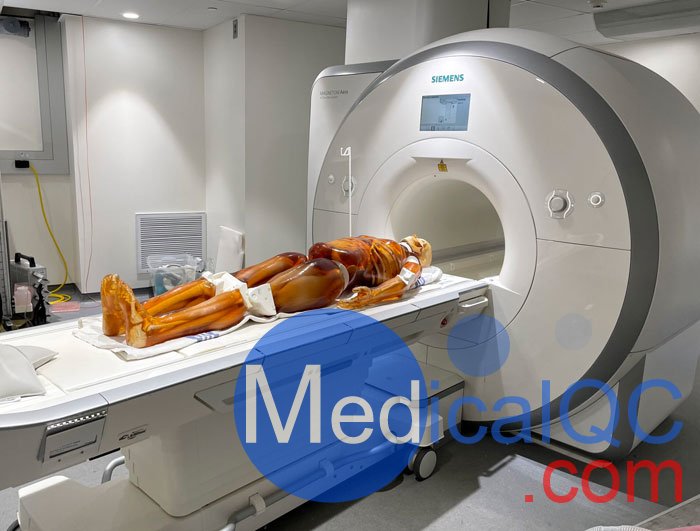 FB-A02成人全身模體,FB-A02全身CT模型，適用于X射線，CT,MRI