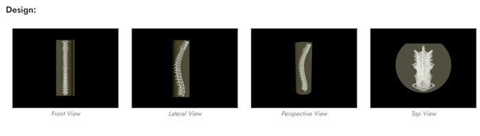 SE-A01成人脊柱模型,SE-A01成人脊柱模體設計示圖